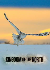 Watch Kingdom of the North
