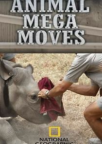 Watch Animal Mega Moves