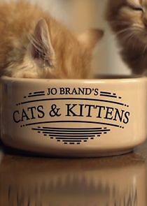 Watch Jo Brand's Cats and Kittens