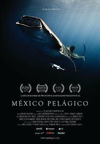 Watch México Pelágico