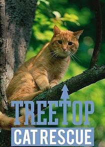 Watch Treetop Cat Rescue