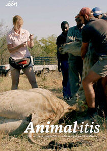 Watch Animalitis