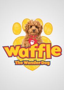 Watch Waffle the Wonder Dog