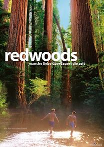 Watch Redwoods