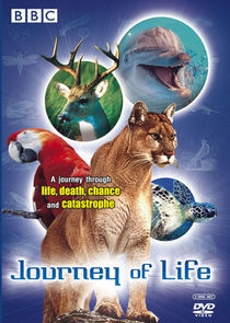 Watch Journey of Life