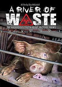 Watch A River of Waste: The Hazardous Truth About Factory Farms
