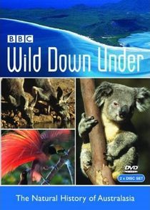 Watch Wild Down Under