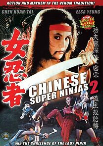 Watch The Challenge of the Lady Ninja