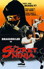 Watch Secret Ninja