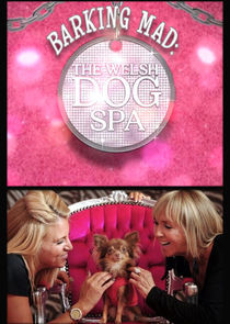 Watch Barking Mad: The Welsh Dog Spa