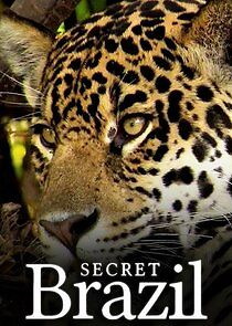 Watch Secret Brazil