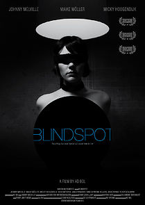 Watch Blindspot