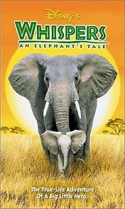 Watch Whispers: An Elephant's Tale