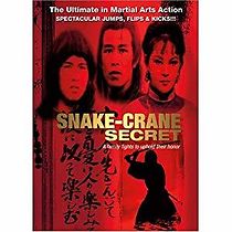 Watch Snake-Crane Secret