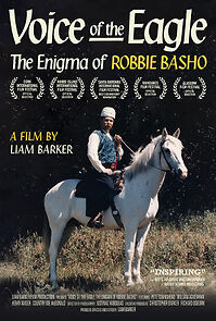 Watch Voice of the Eagle: The Enigma of Robbie Basho