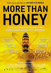 Watch More Than Honey