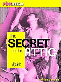 Watch The Secret in the Attic