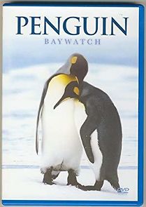 Watch Penguin Baywatch