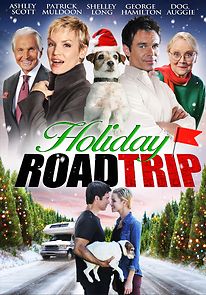 Watch Holiday Road Trip