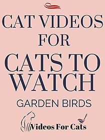Watch Like Cats and Dogs