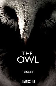 Watch The Owl