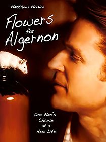 Watch Flowers for Algernon
