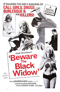 Watch Beware the Black Widow