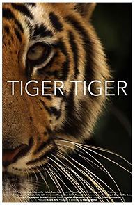 Watch Tiger Tiger