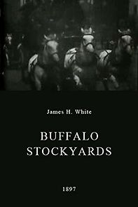 Watch Buffalo Stockyards