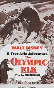 Watch The Olympic Elk