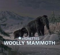 Watch Canada Vignettes: Woolly Mammoth (Short 1979)