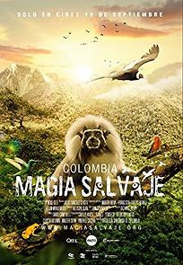 Watch Colombia magia salvaje
