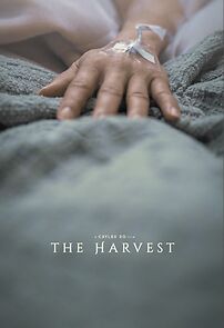 Watch The Harvest