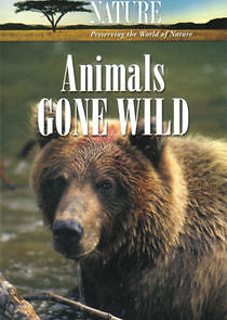 Watch Animals Gone Wild