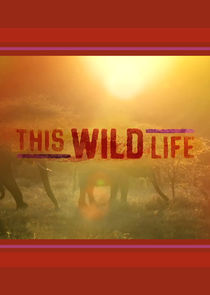 Watch This Wild Life