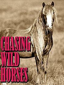 Watch Chasing Wild Horses