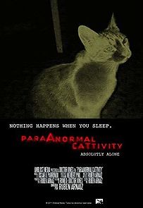 Watch ParaAnormal CatTivity