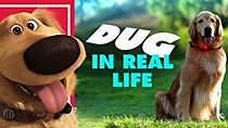Watch Disney Pixar's Dug the Talking Dog in Real Life