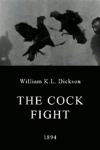 Watch The Cock Fight