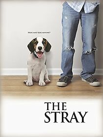 Watch The Stray