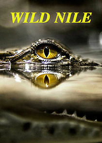 Watch Wild Nile
