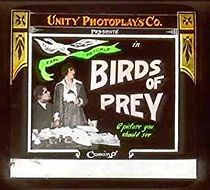 Watch Birds of Prey