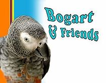 Watch Bogart & Friends