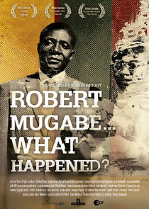Watch Robert Mugabe... What Happened?
