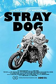 Watch Stray Dog