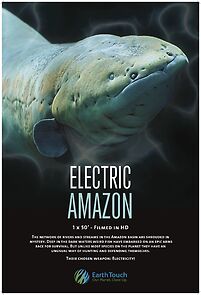 Watch Electric Amazon