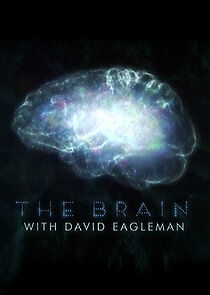 Watch The Brain with David Eagleman