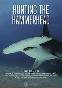 Watch Hunting the Hammerhead