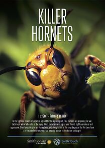 Watch Killer Hornets