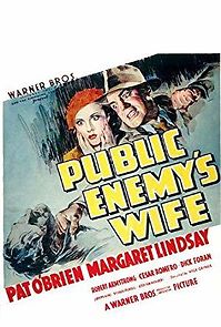 Watch Public Enemy's Wife